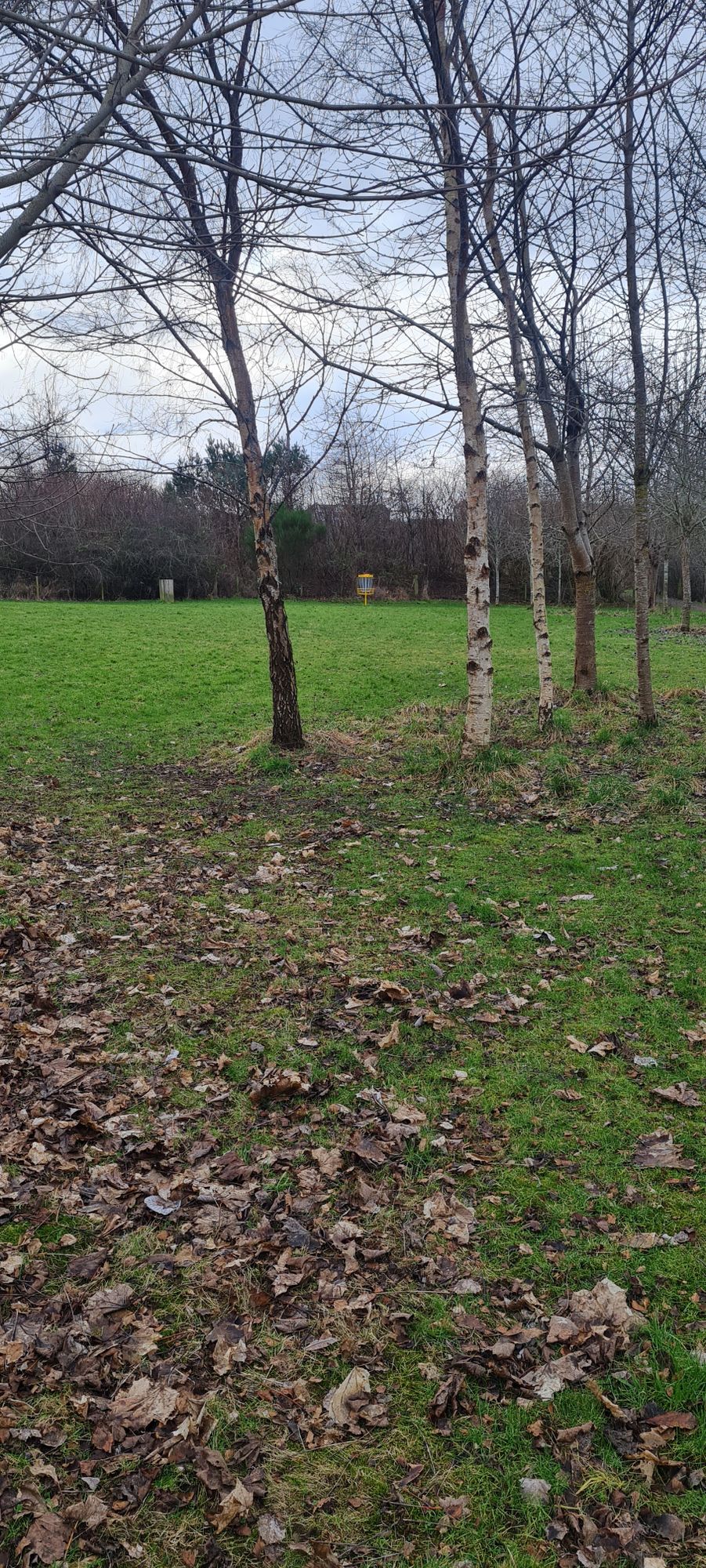 Hole 9