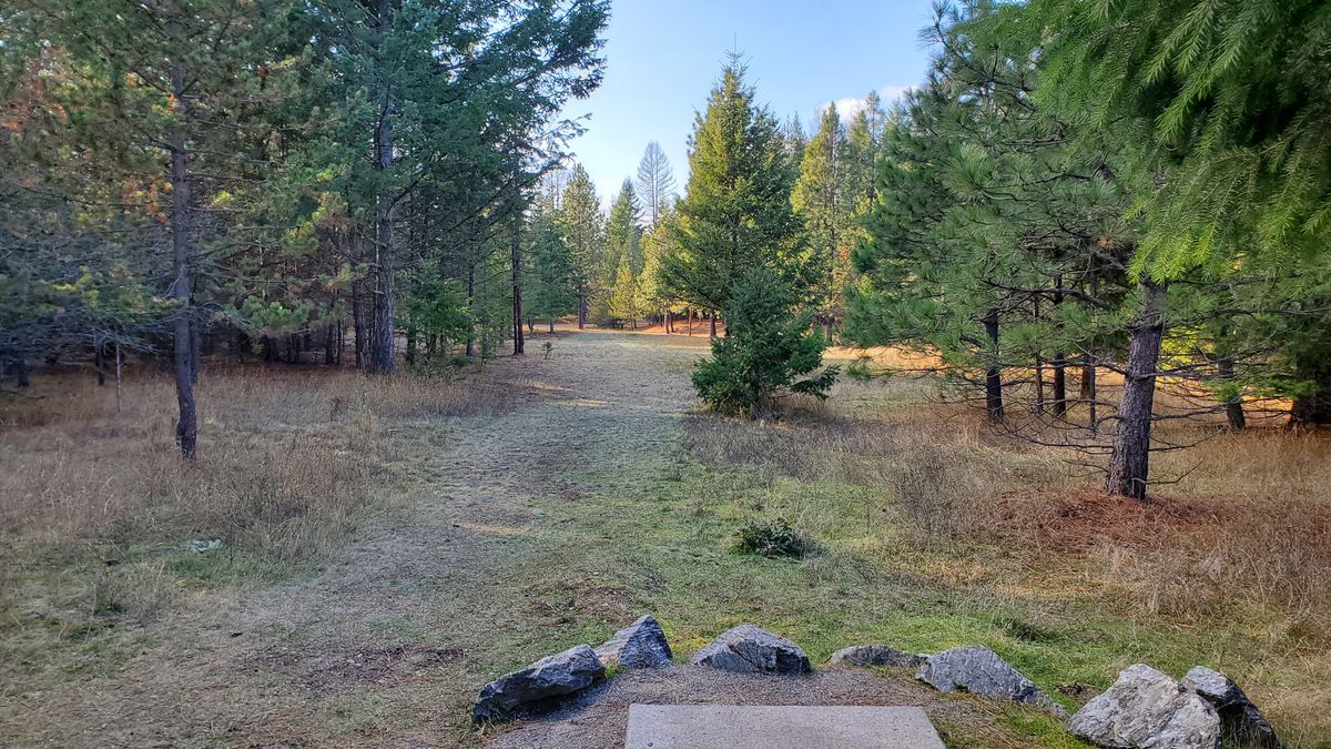 Tee pad hole 5
