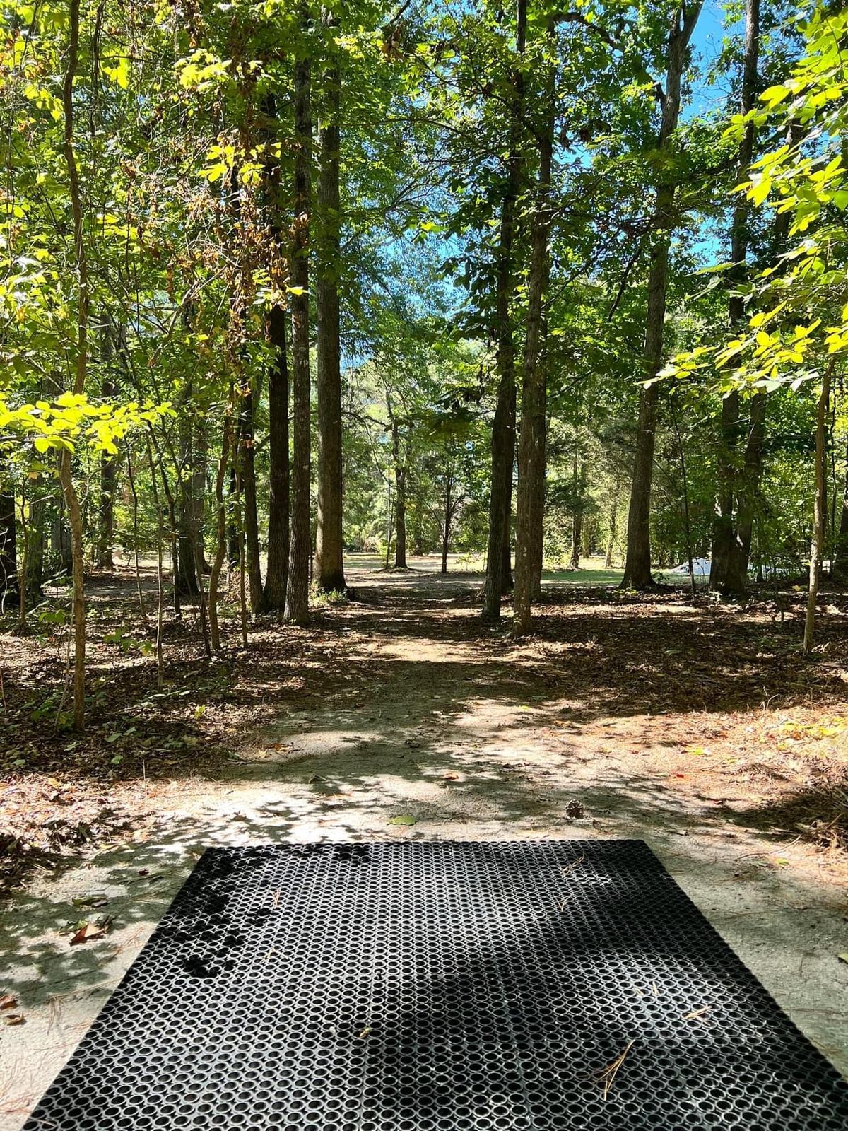 Hole 7