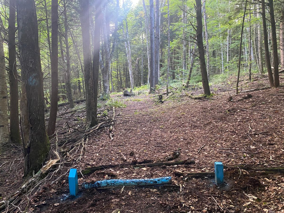Hole 4 tee box