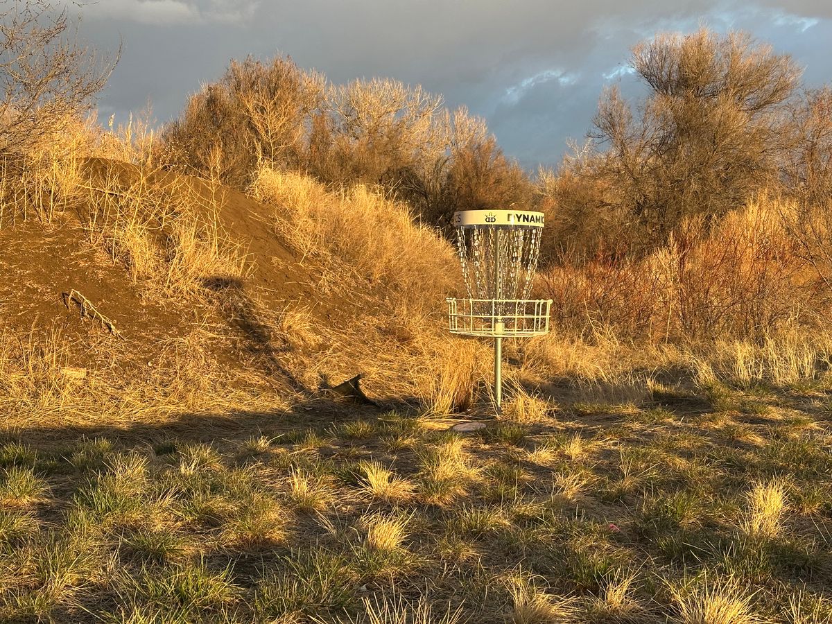 Basket on hole 10