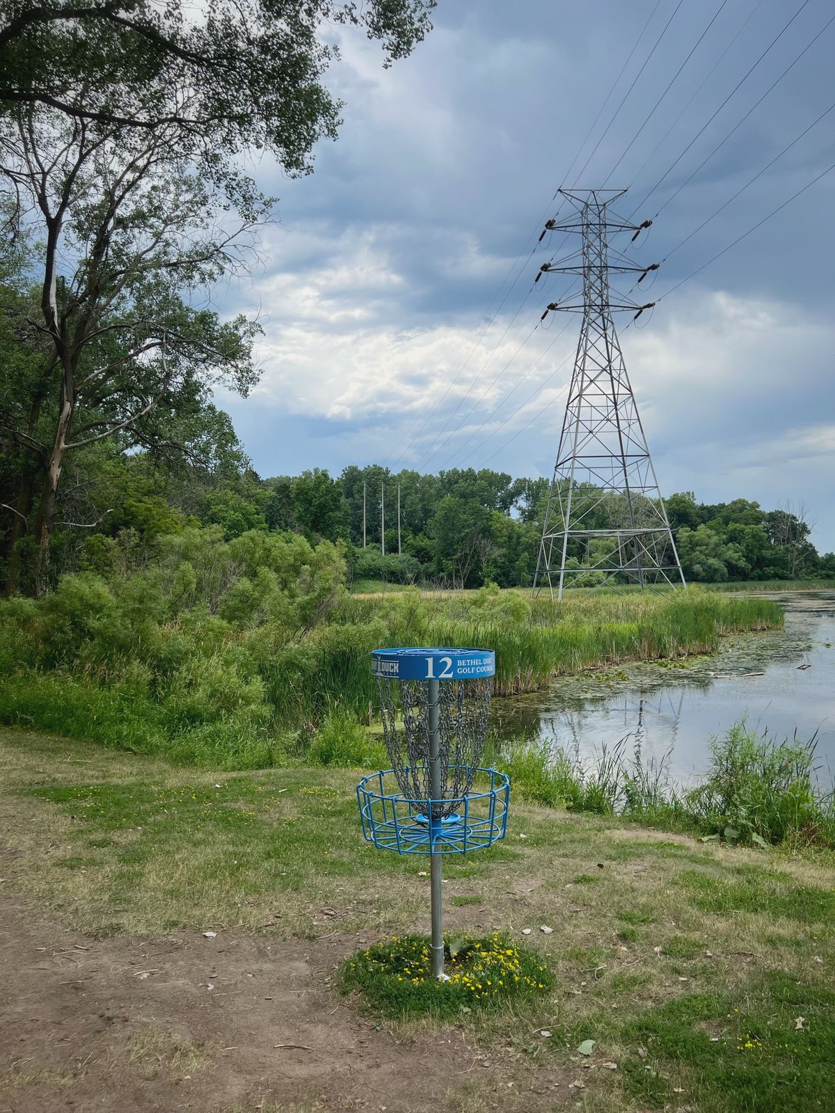 Pin of 12. The blue baskets look great.