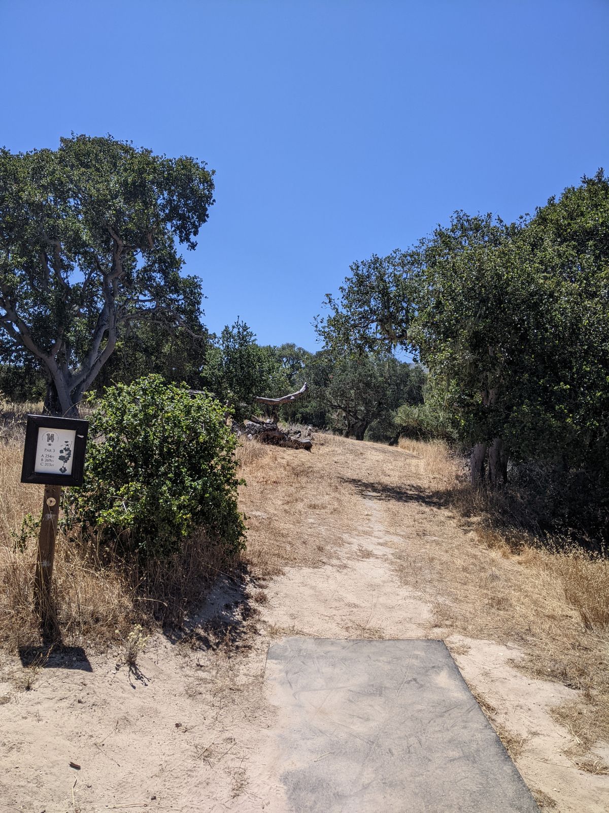 Tee pad. Tunnel shot with sloping hillside on the right. 