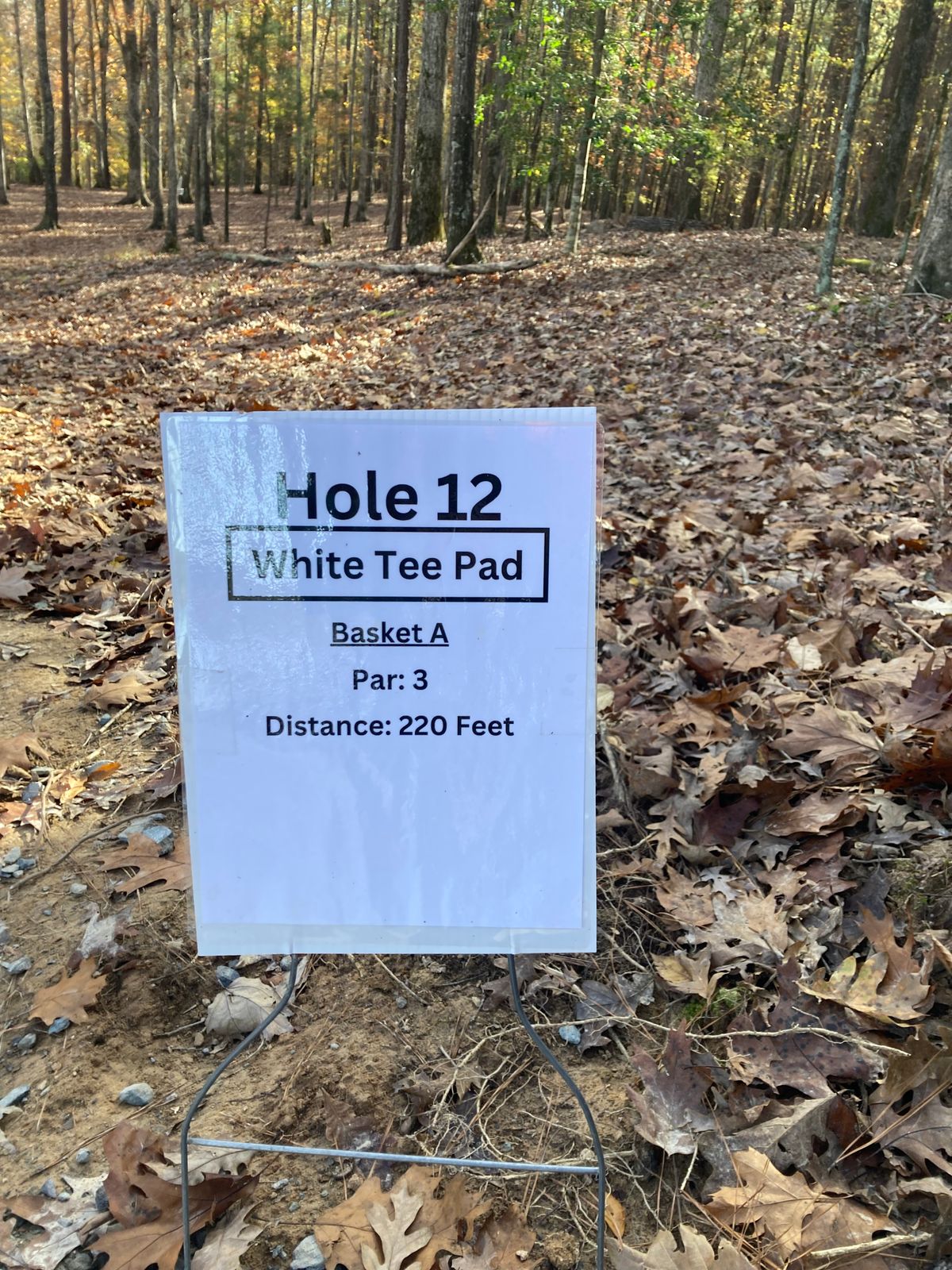 Hole 12 White Tee Sign