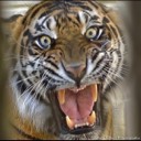 User avatar image