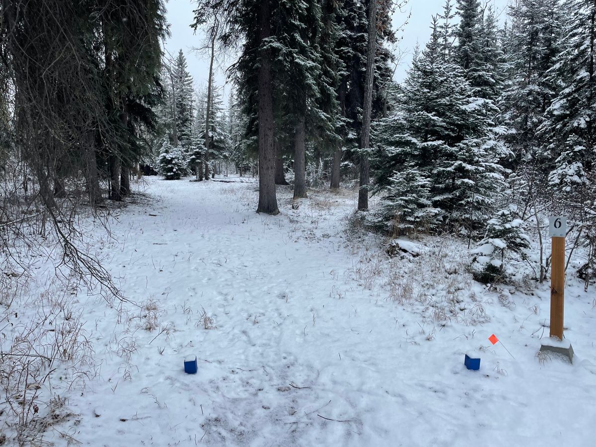 Hole 6 tee pad