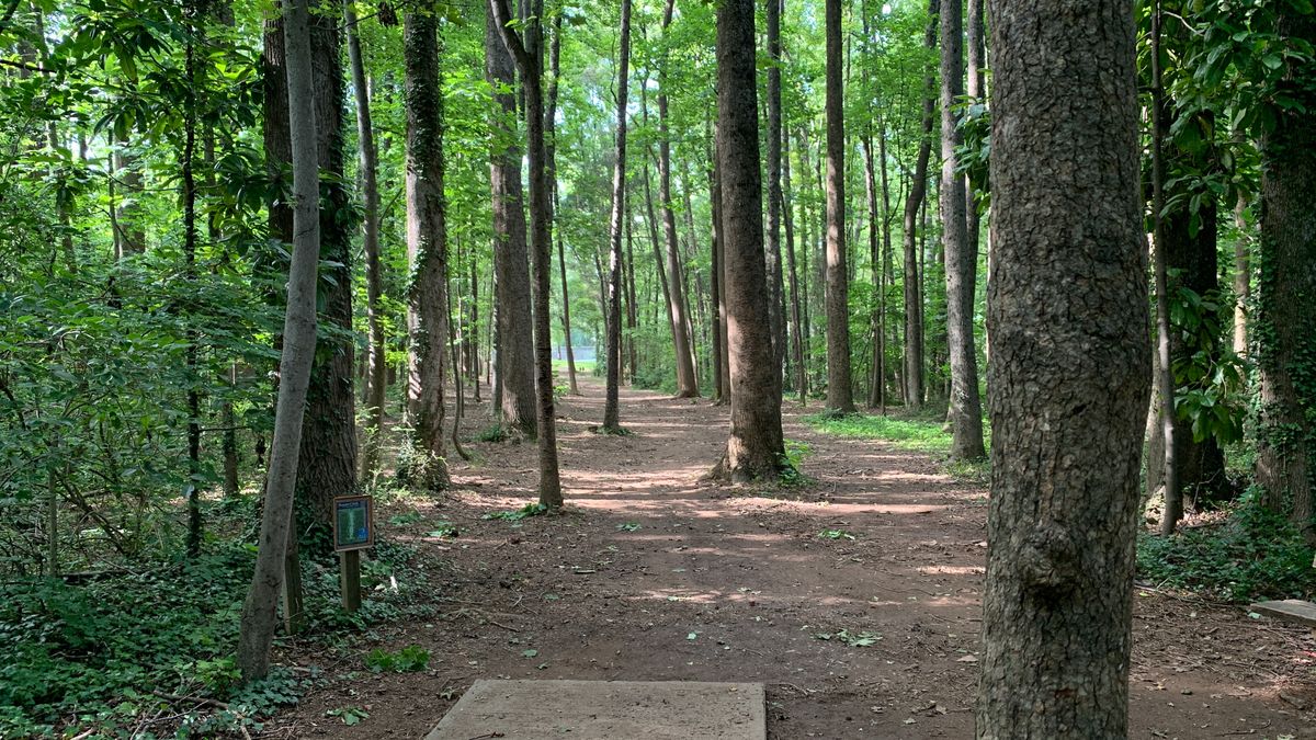 Hole 3