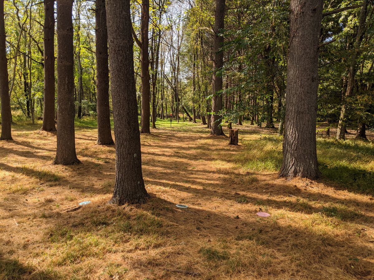 Hole 6 approach
