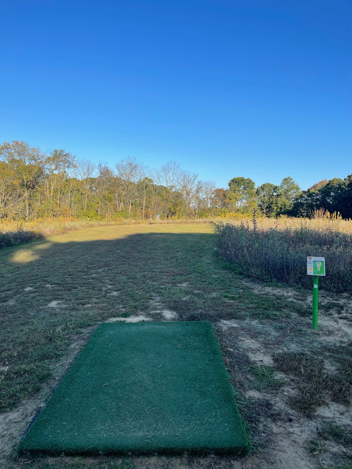 Hole 6 short
