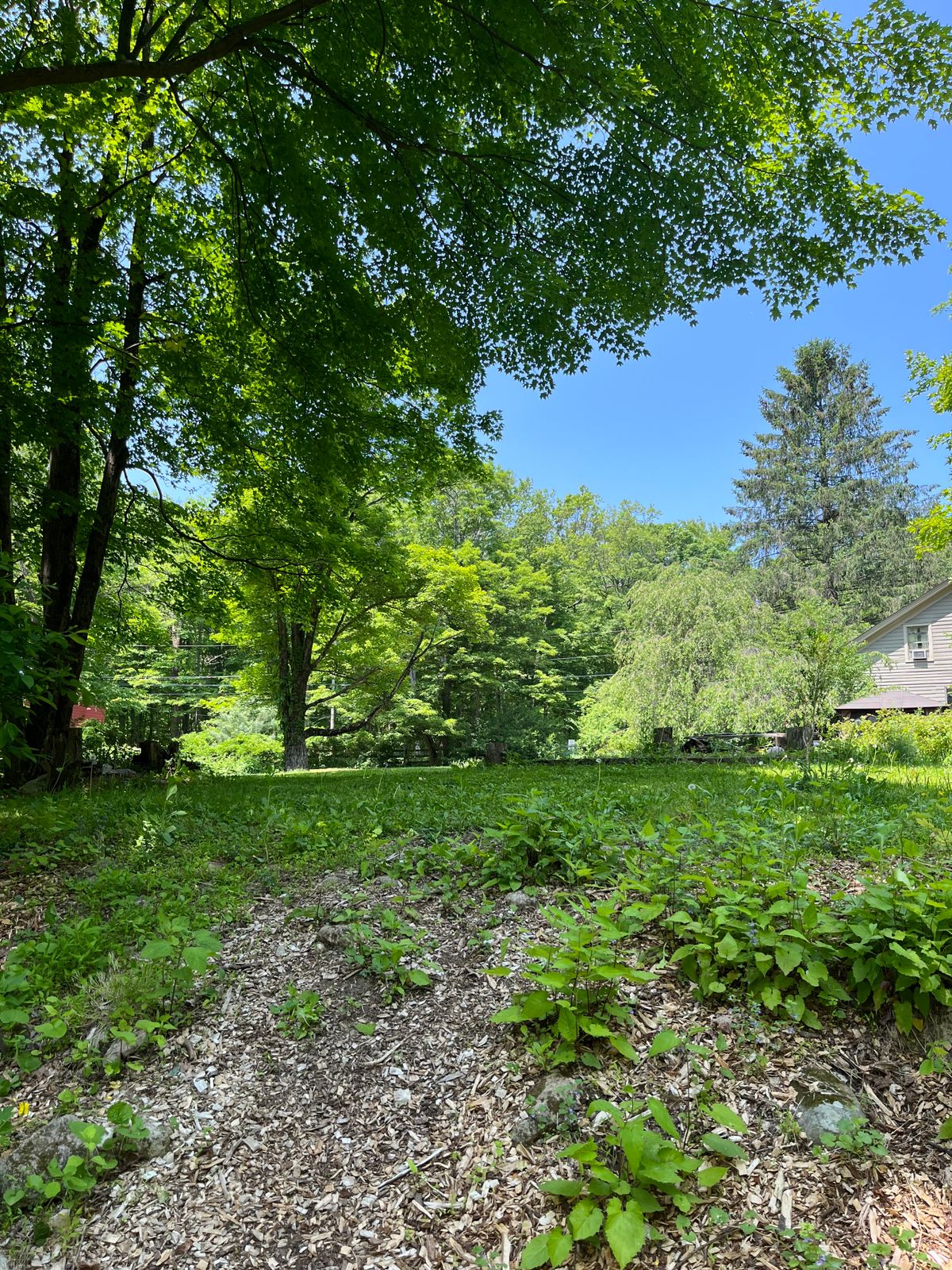 Approach to hole 4