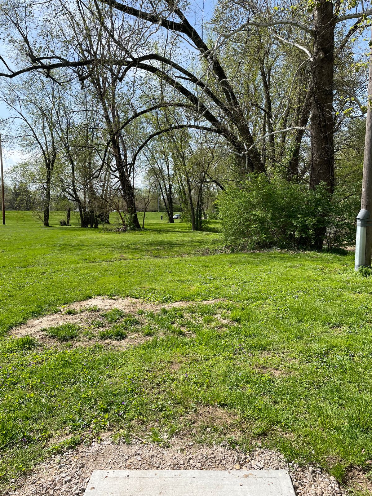 Hole 7 short tee