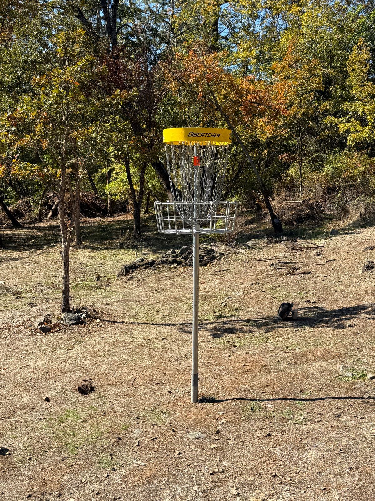#4 has risen up to elevate the spirits of us all in the Discgolf realm.