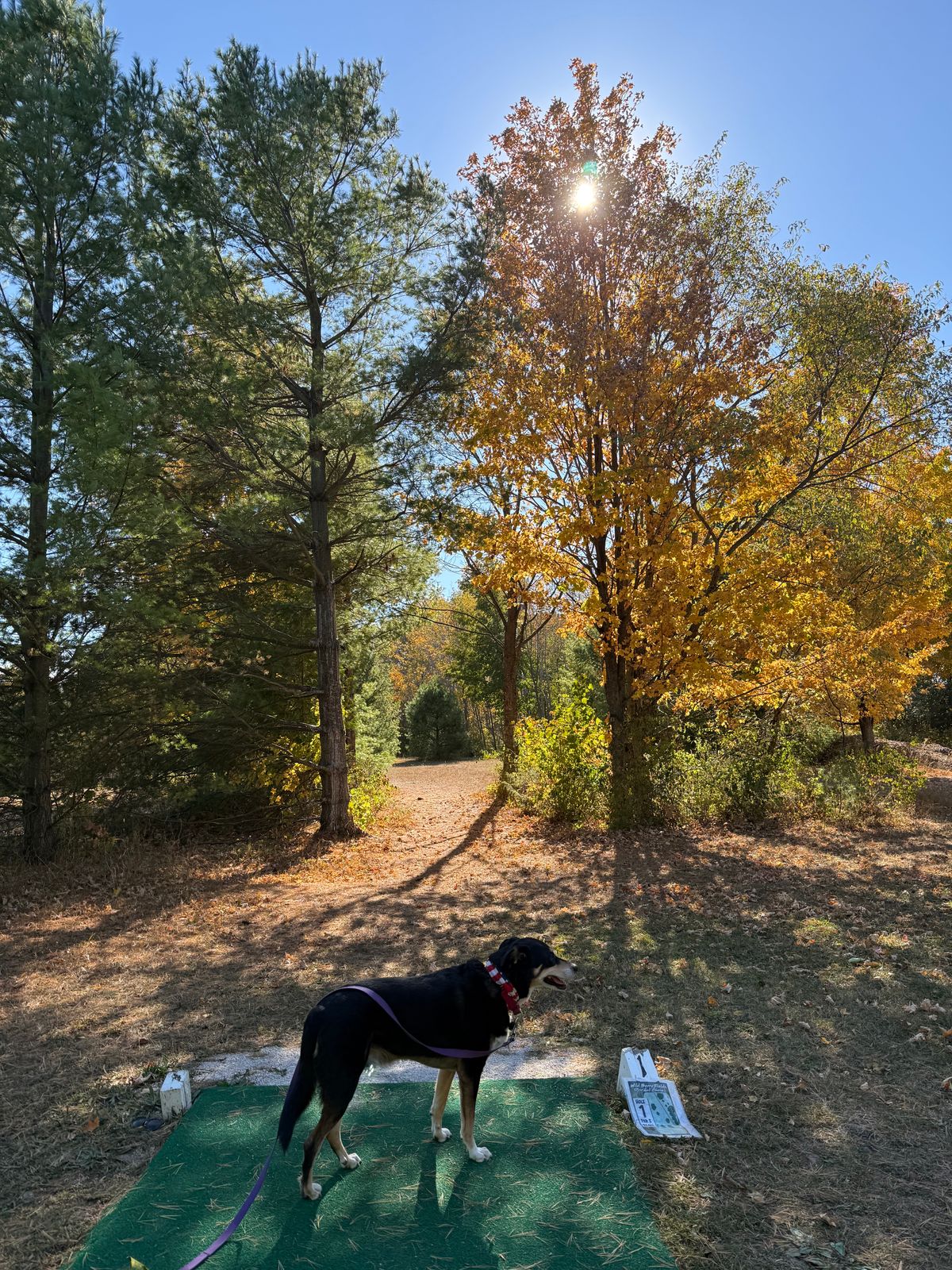 Hole 1