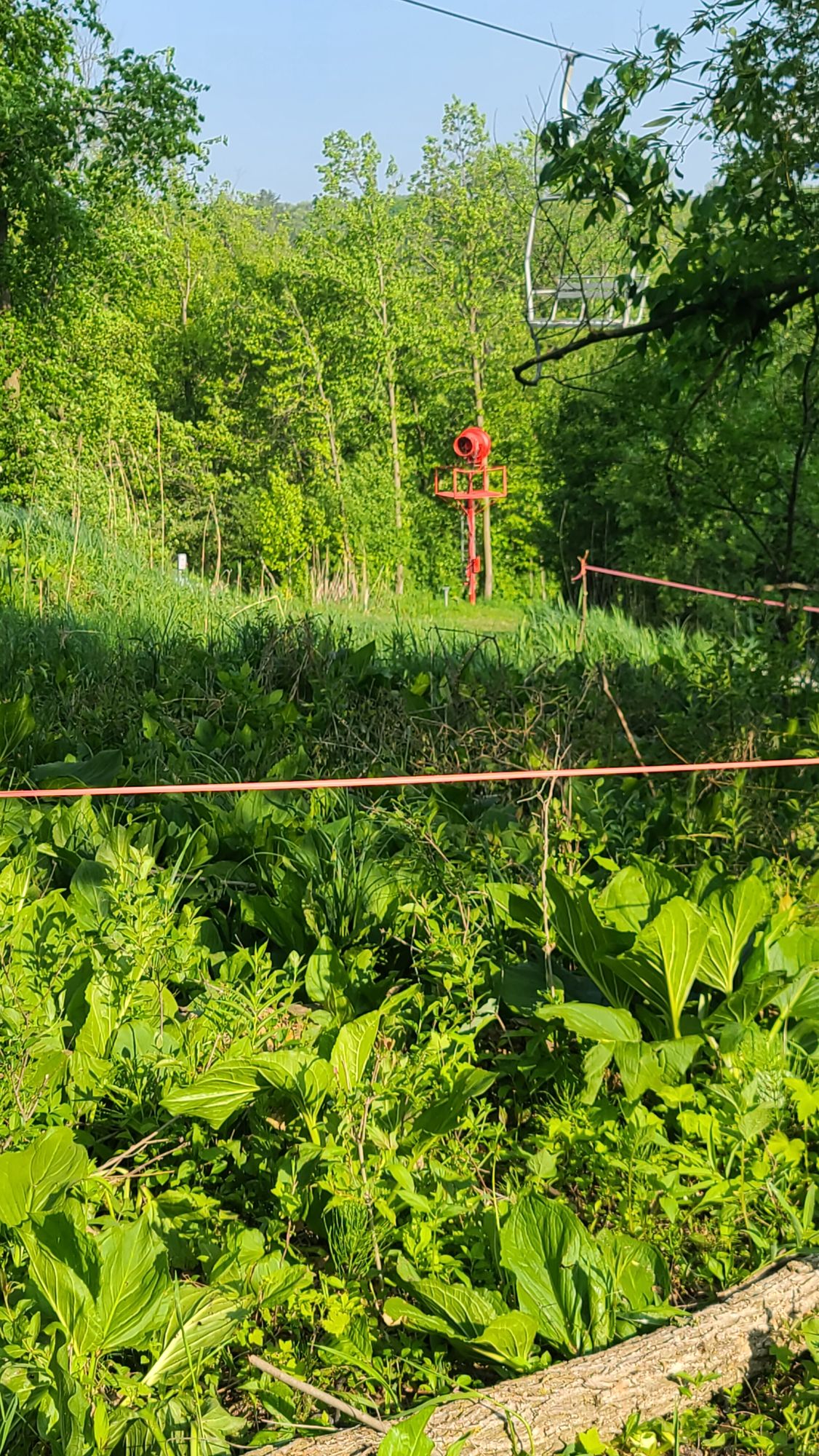Hole 6 basket slightly to the left.