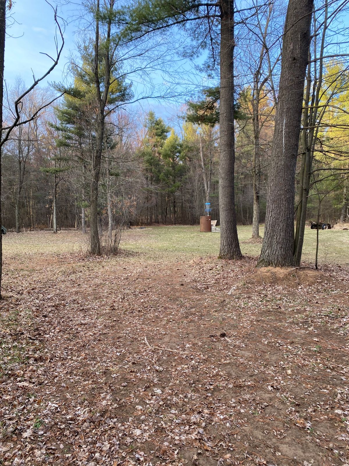 Hole 17 fairway view of basket