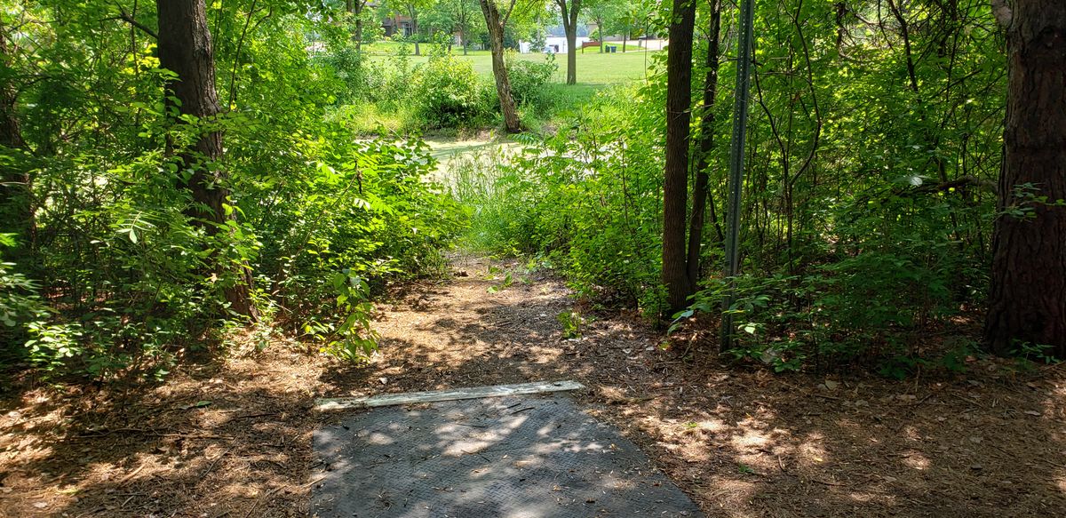 Hole 8 long tee.