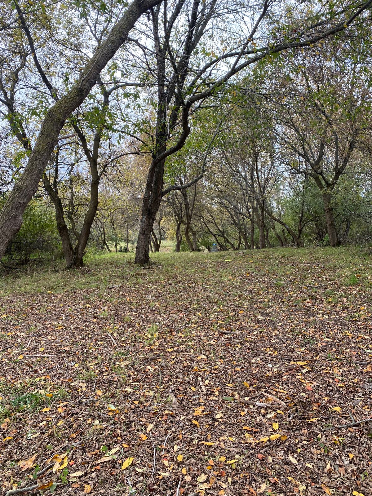 Hole 16 fairway