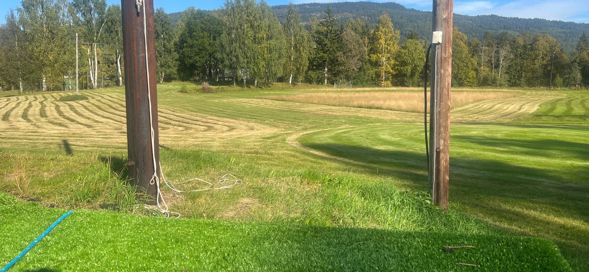 Tee 2