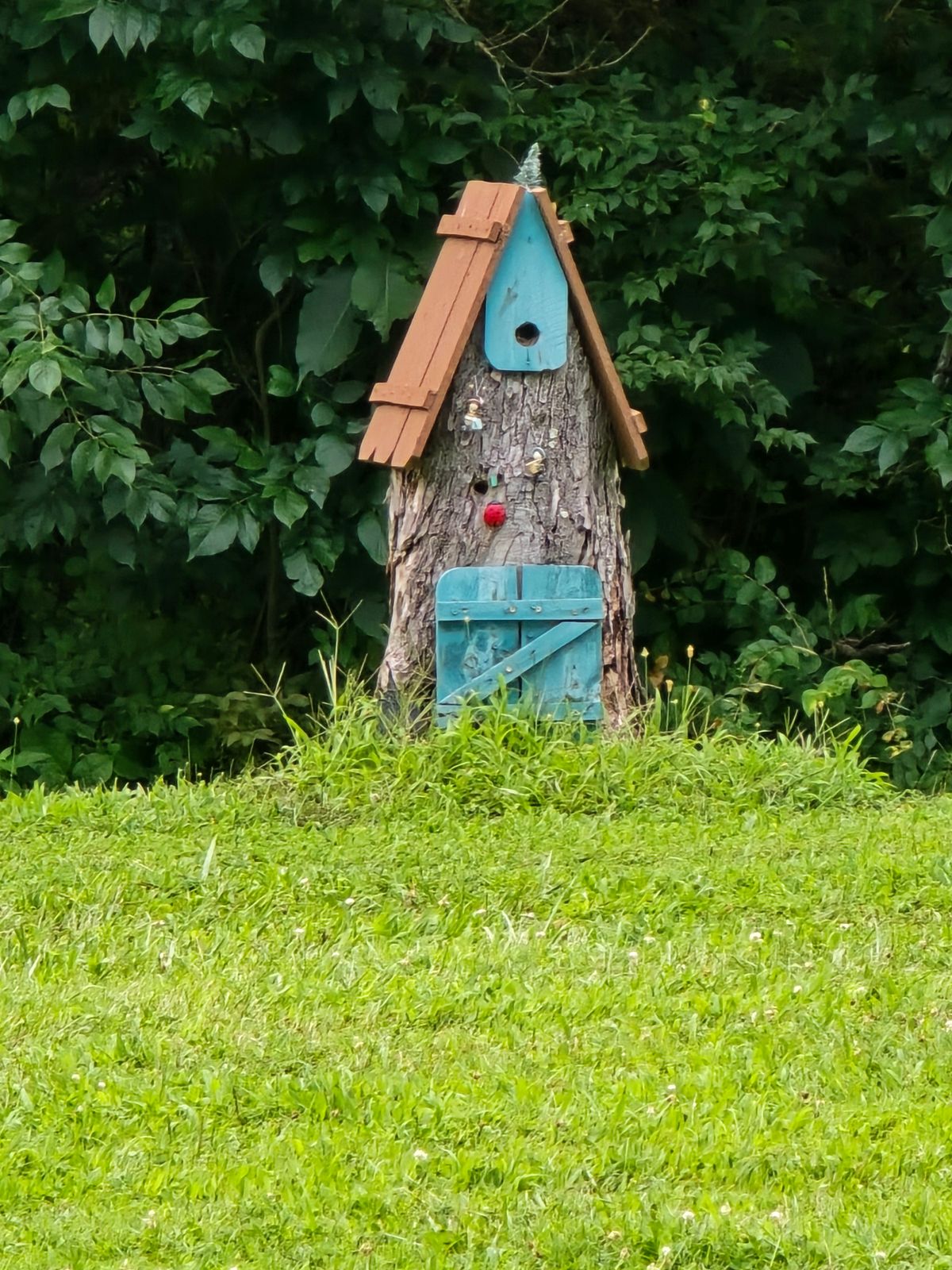 These birds houses were throughout the course