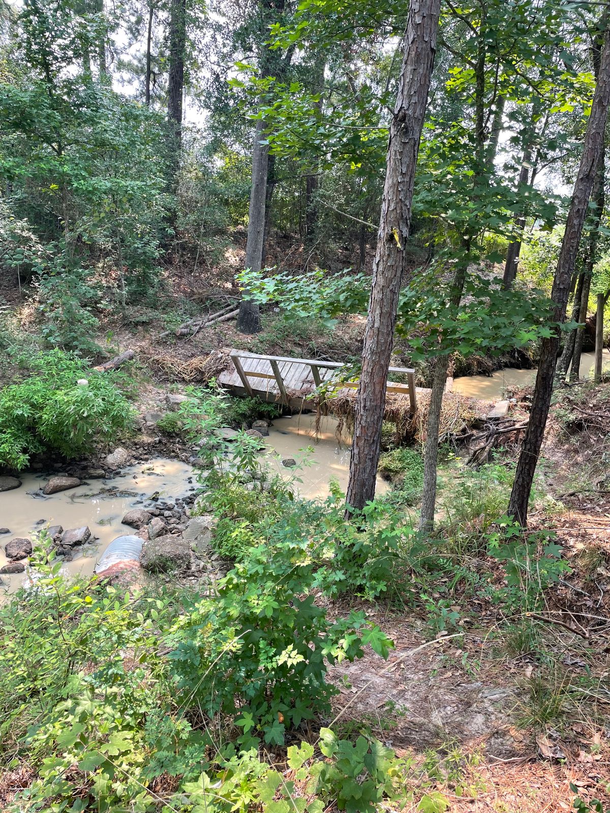 Washed out bridge to get to hole 5
