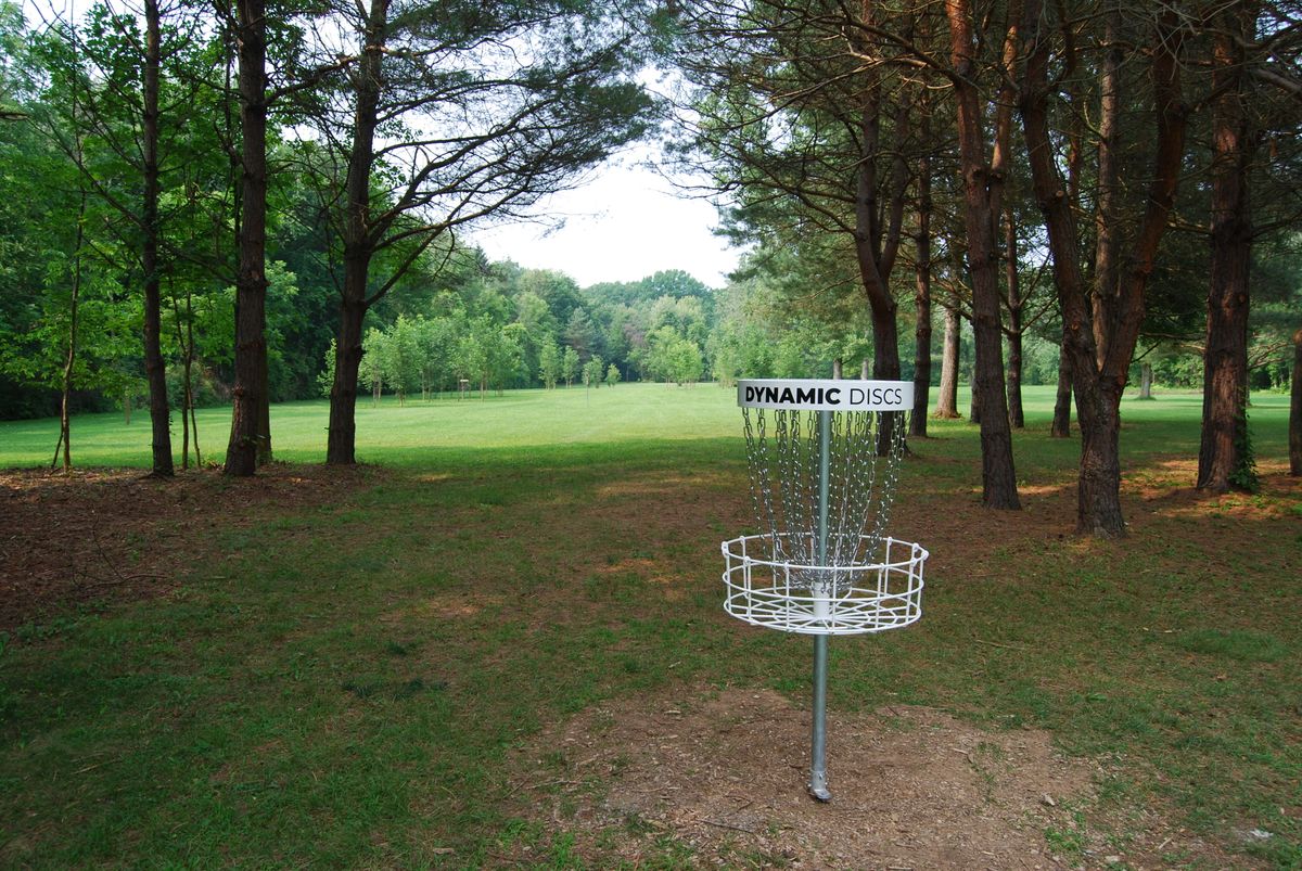 Hole 4 green area looking back toward fairway