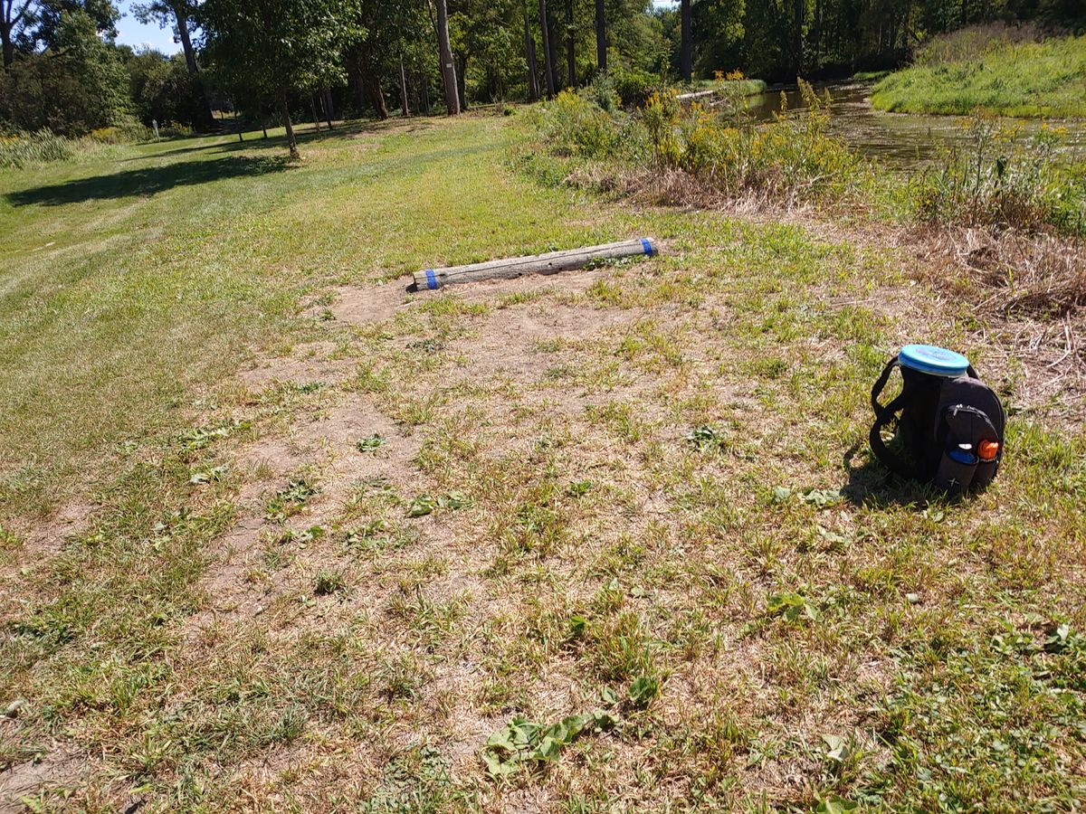 Short tee on 7