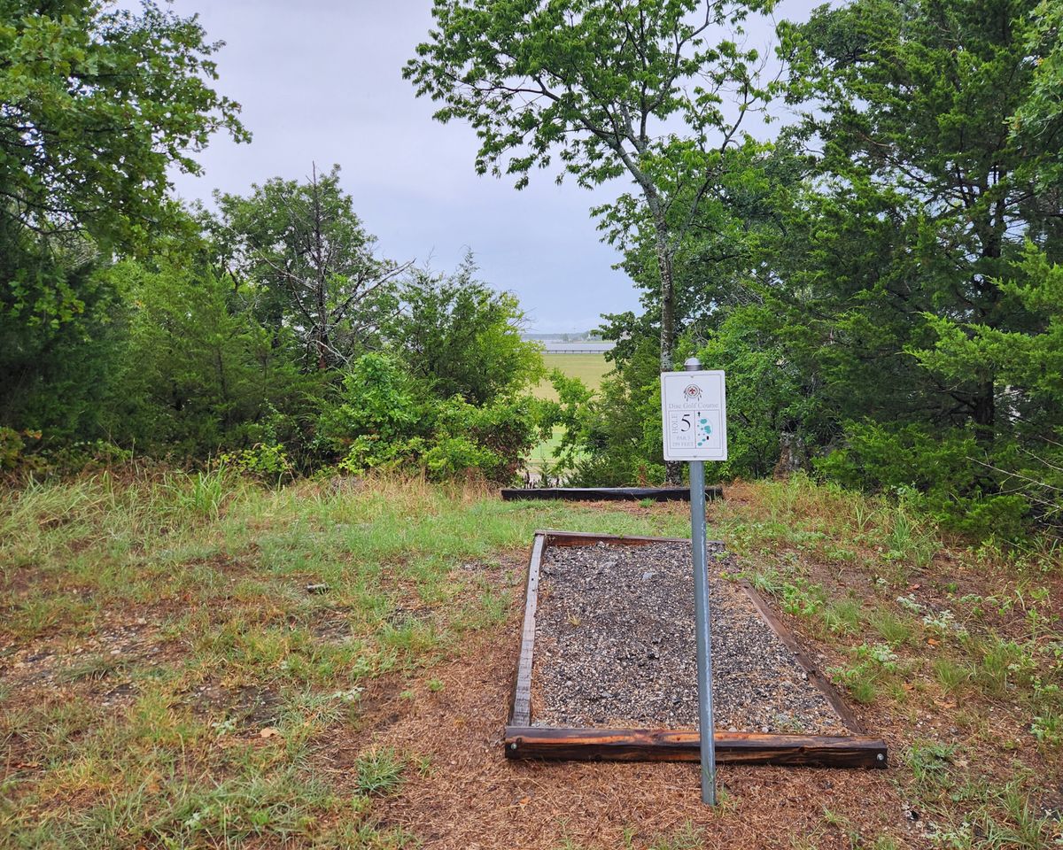 Hole 5 tee