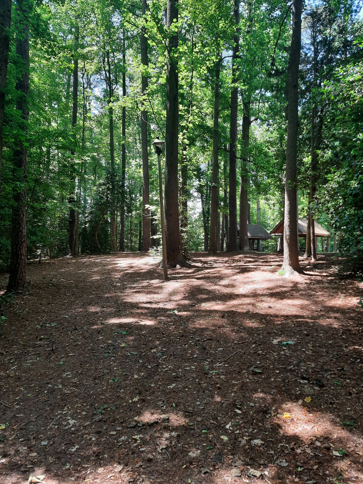Hole 2 Fairway
