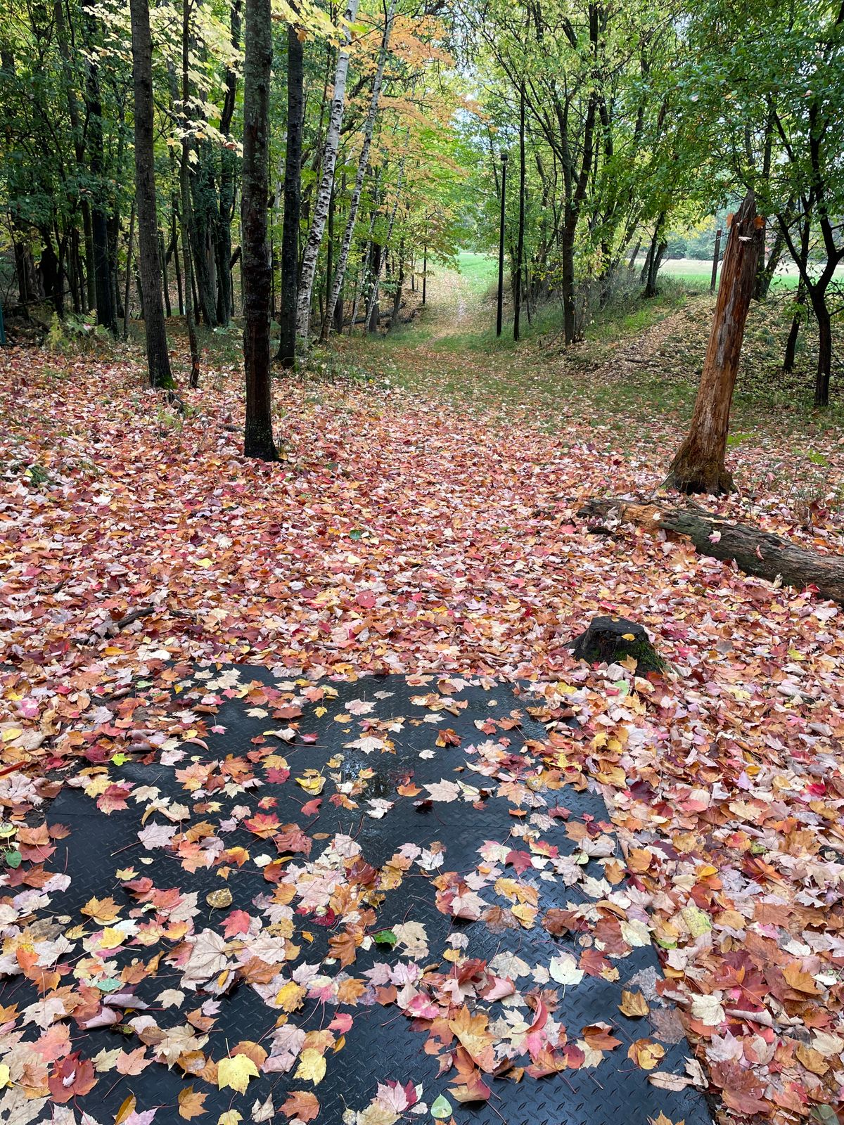 Hole 18