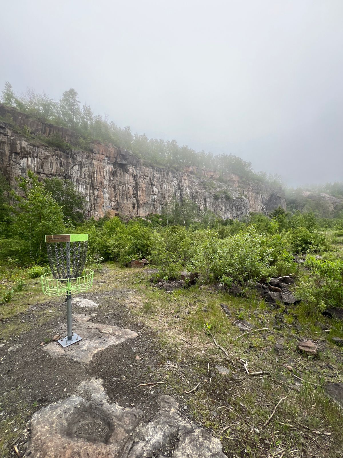 Great views. Shrubs could be cleaned up.