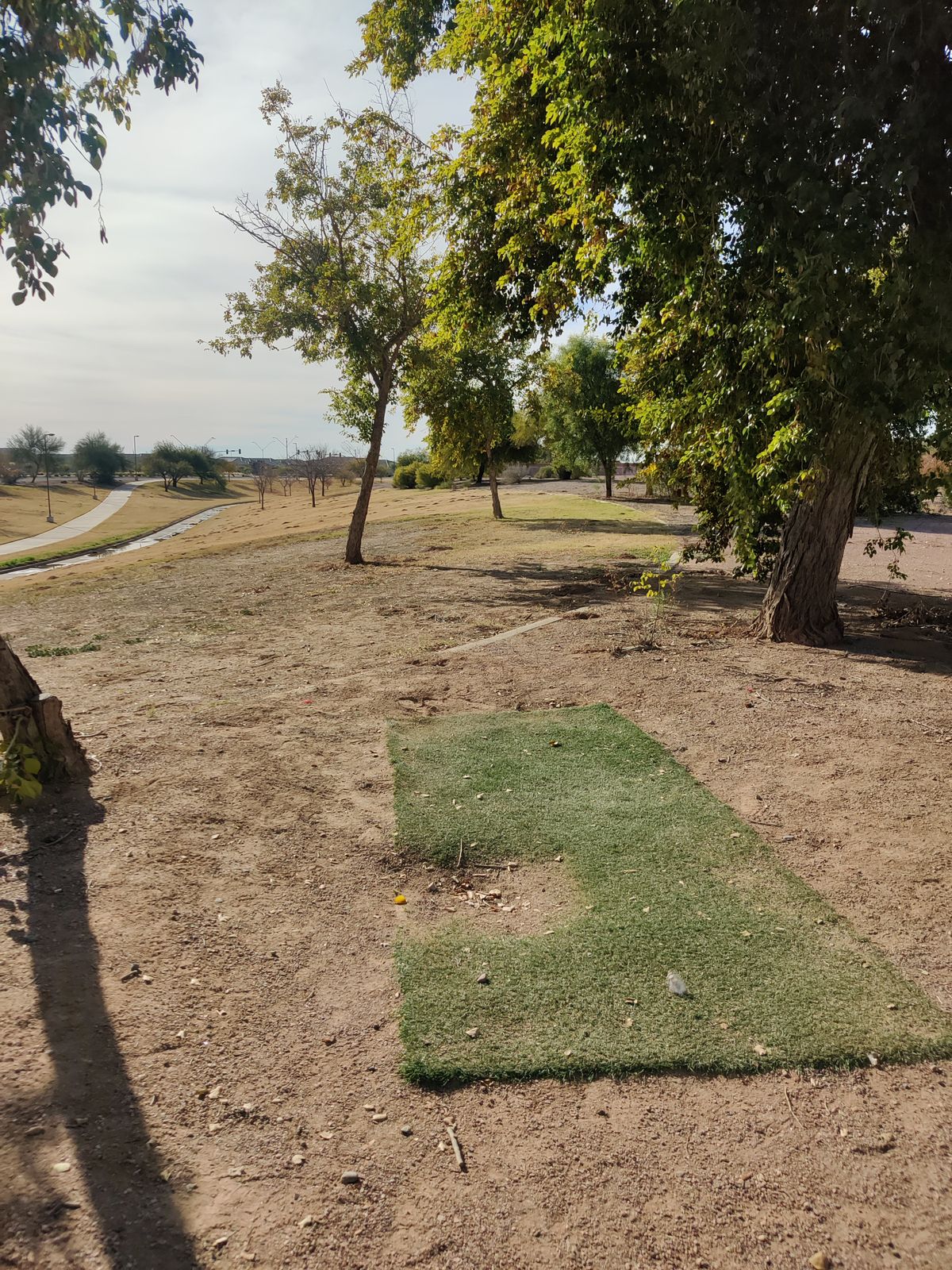 Most tee pads look like this. Some are missing.