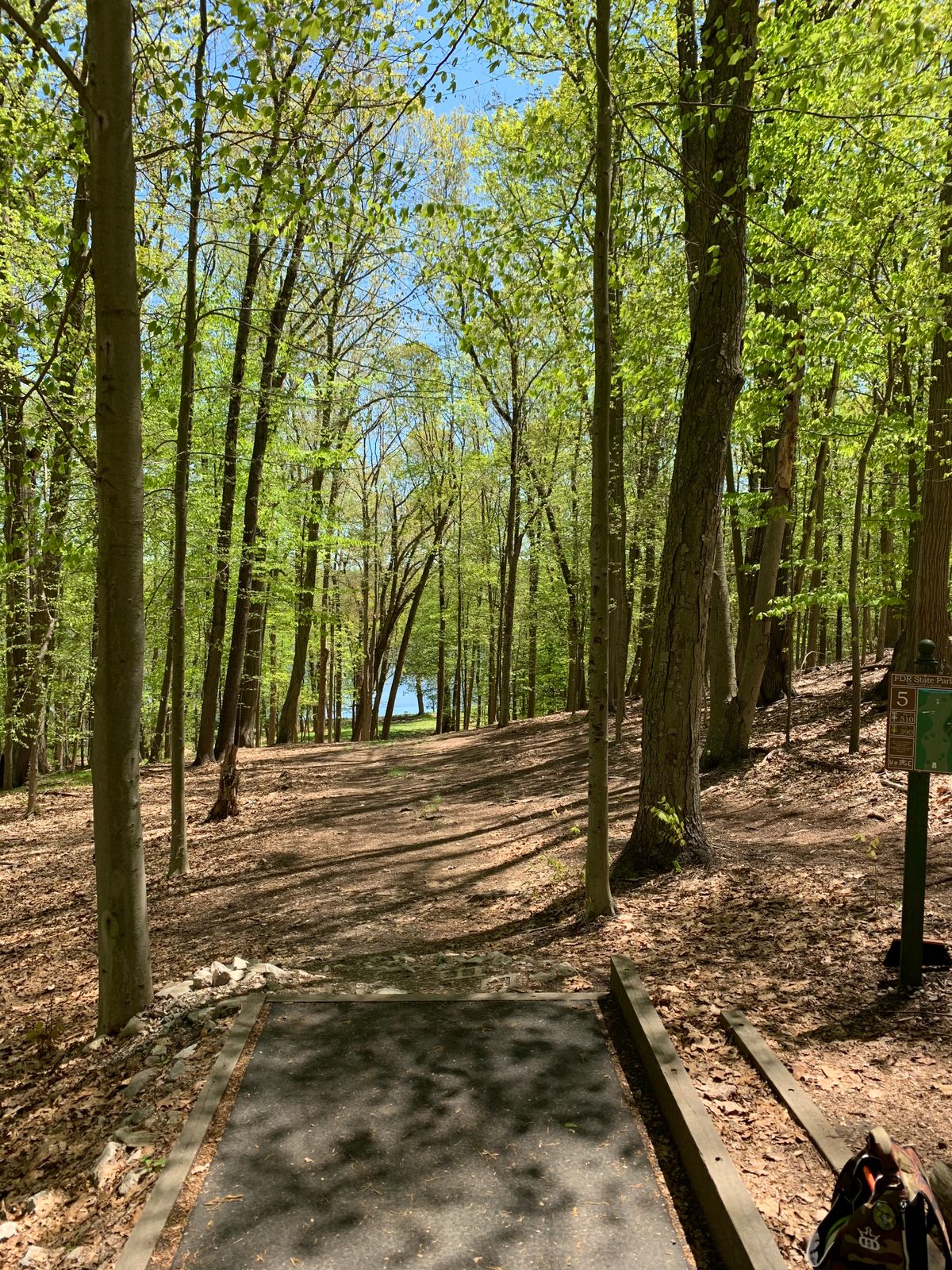 Hole 5 Tee