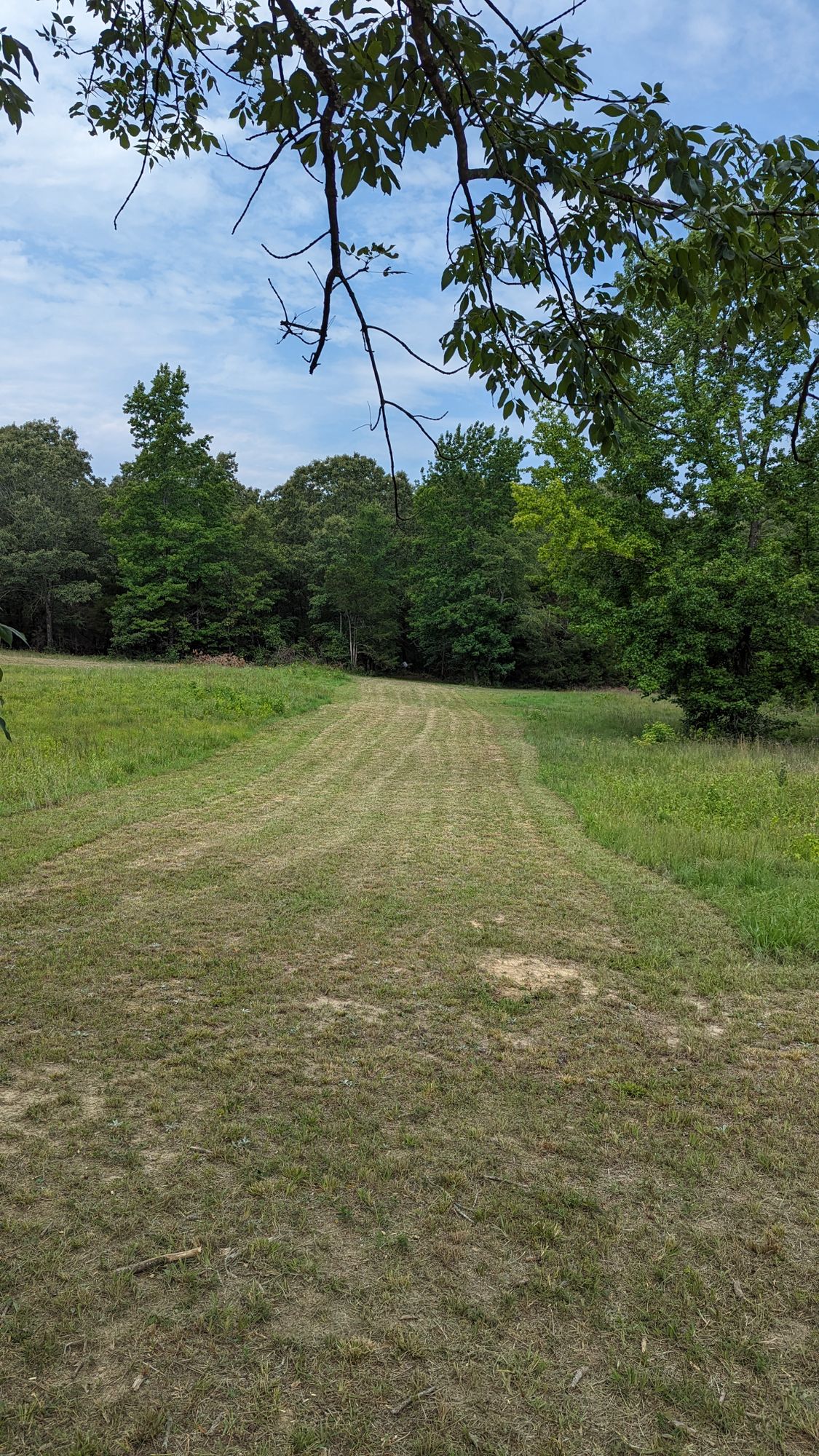 Hole 4.
