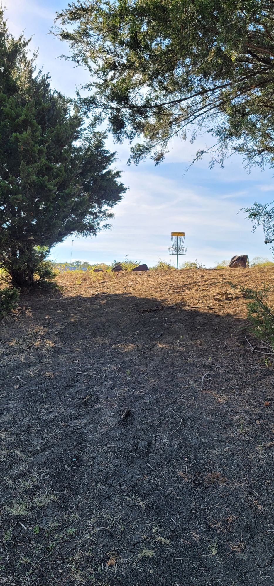 Hole 12 basket