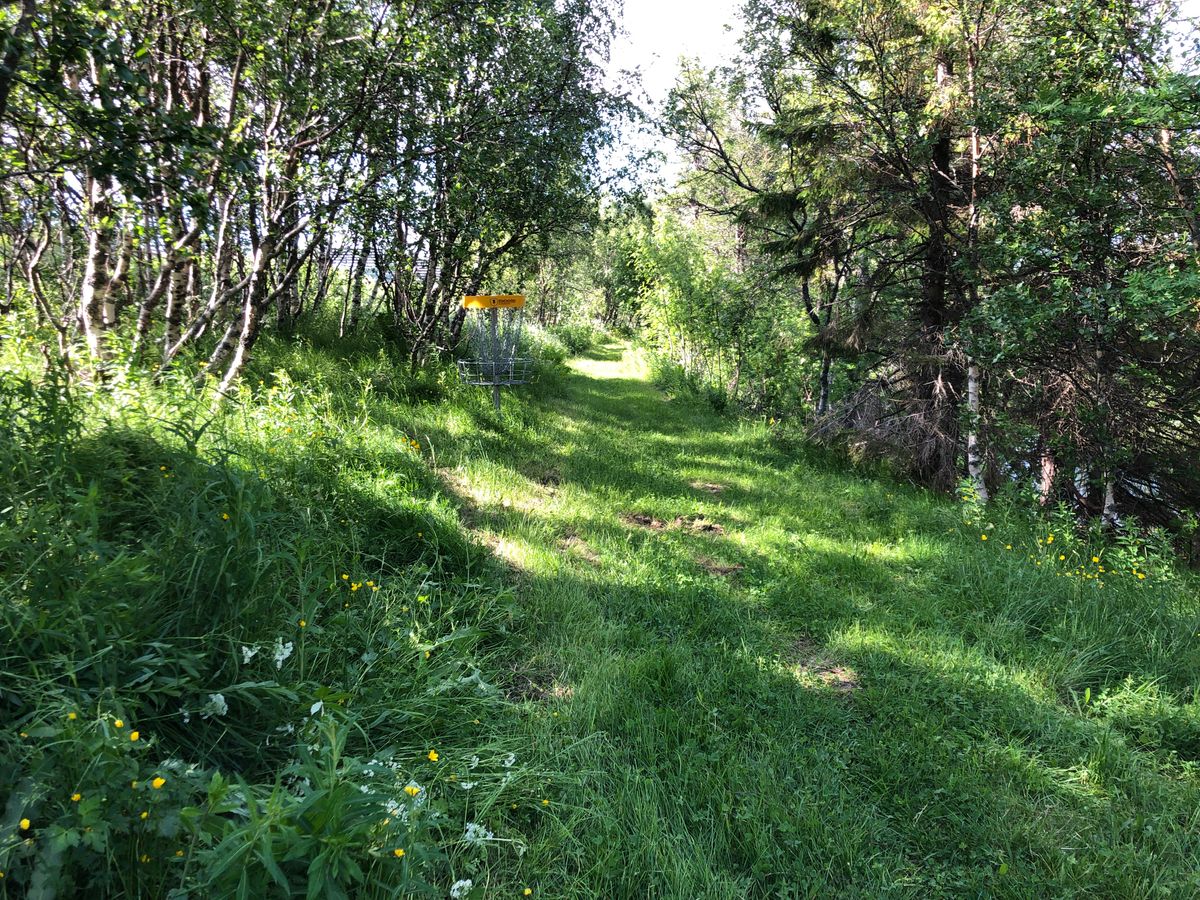 End of the short and narrow fairway 4.