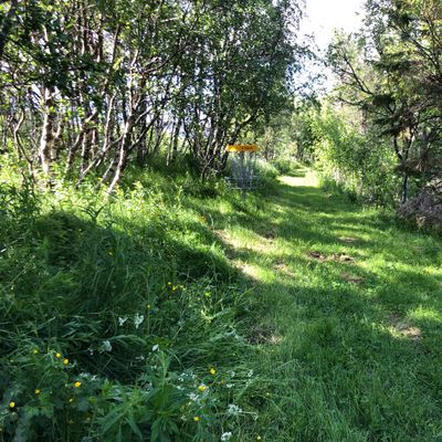 End of the short and narrow fairway 4.