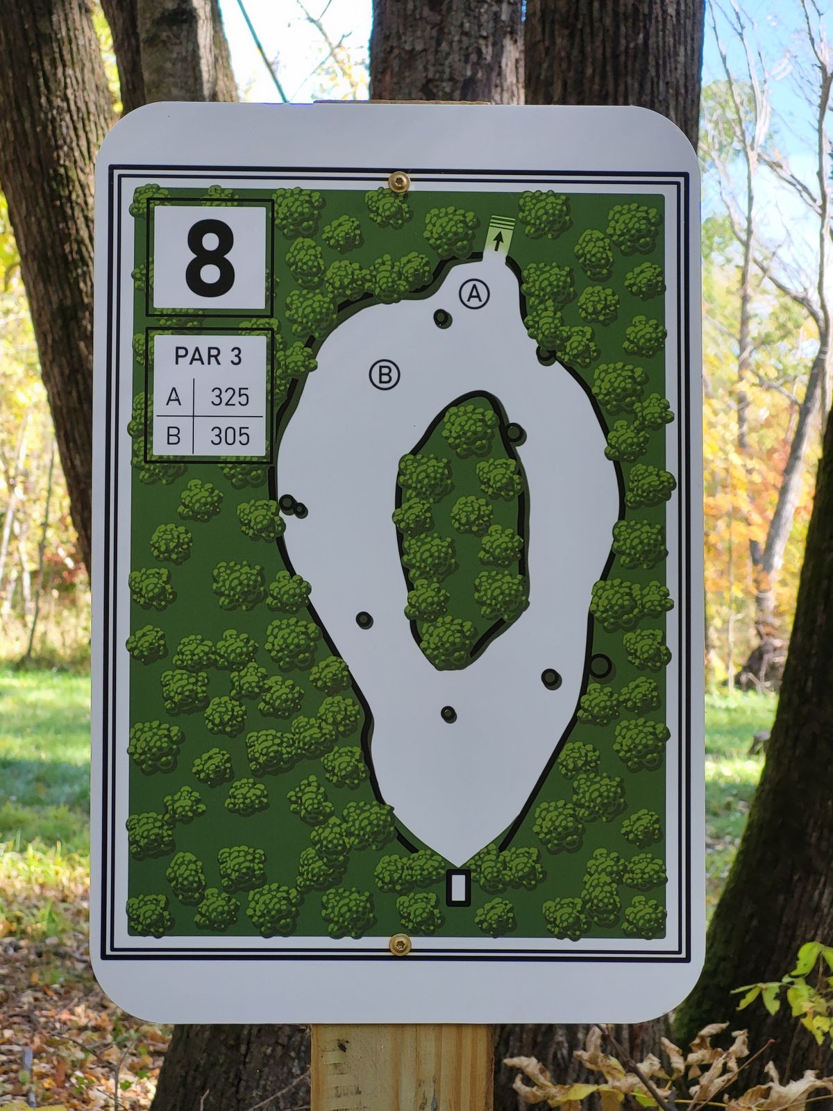 Hole 8 teesign