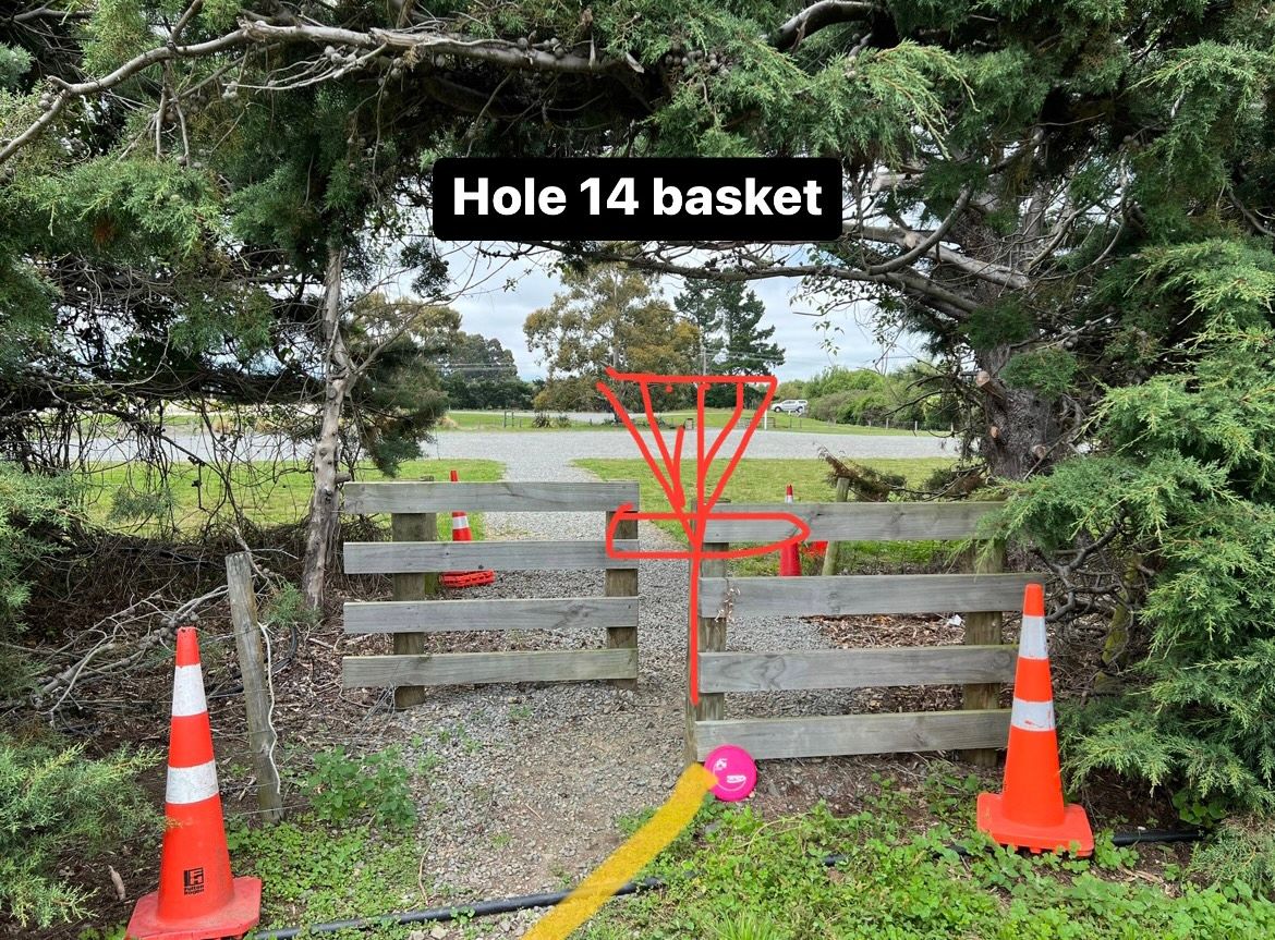 Hole 14 basket