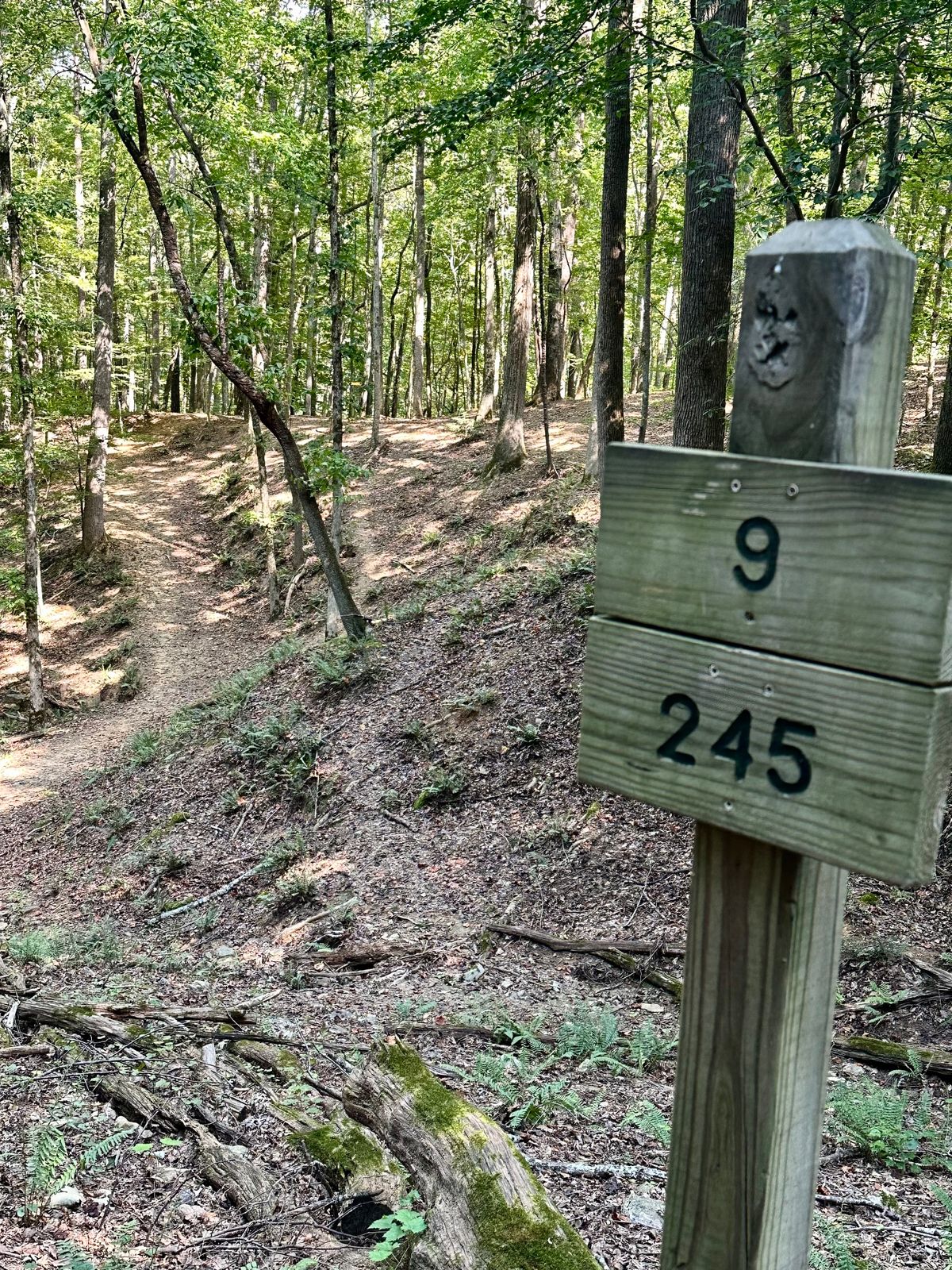 Hole 9
