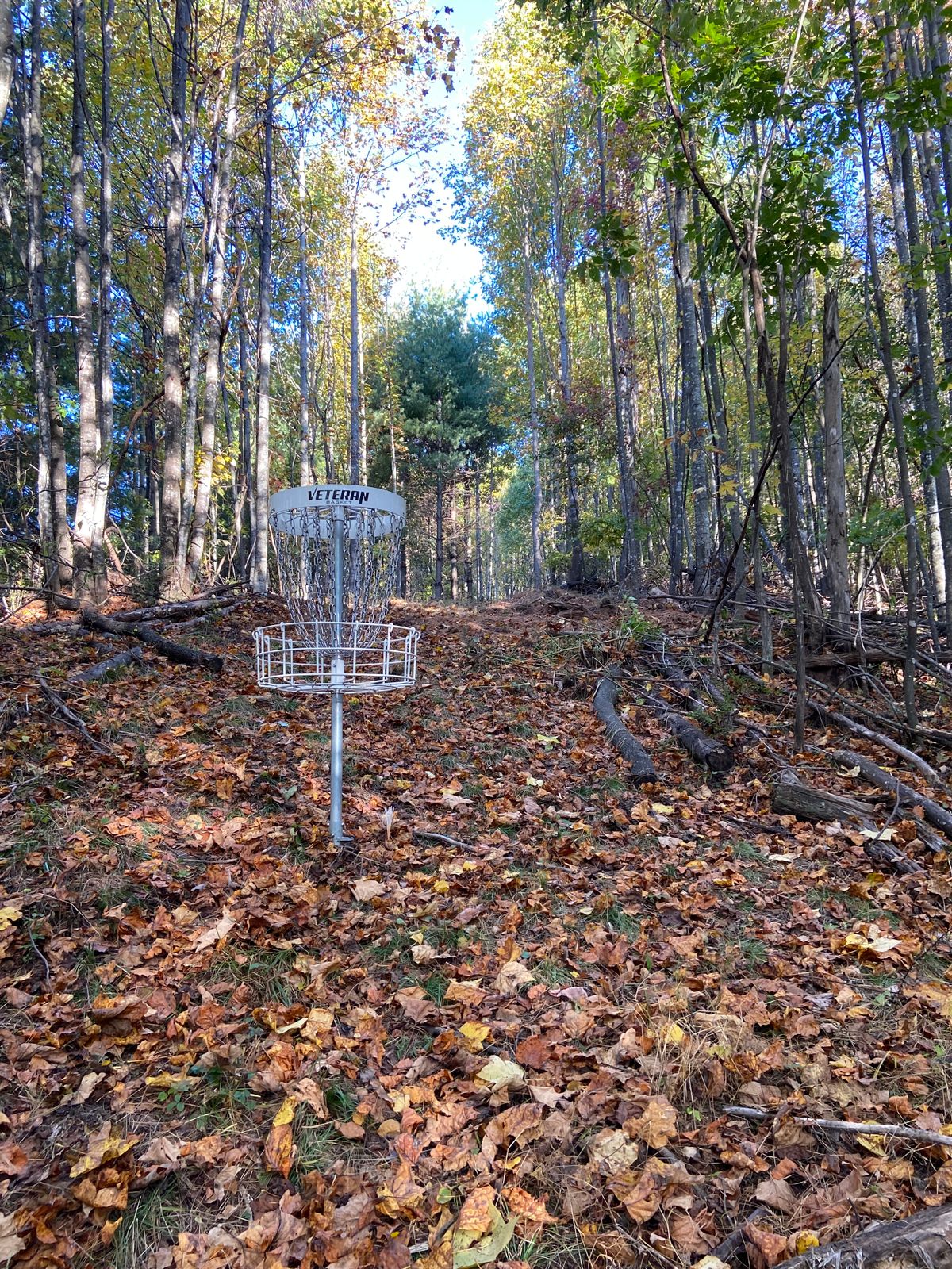 Hole 4 basket