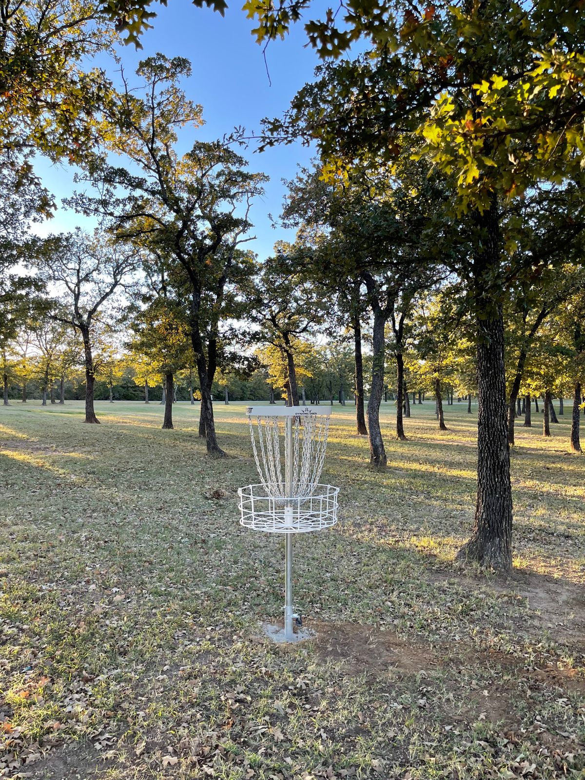 Hole 4 Basket