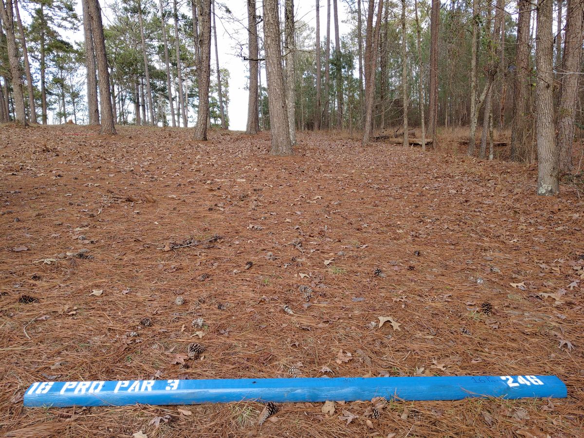 Hole 16 Pro Tee