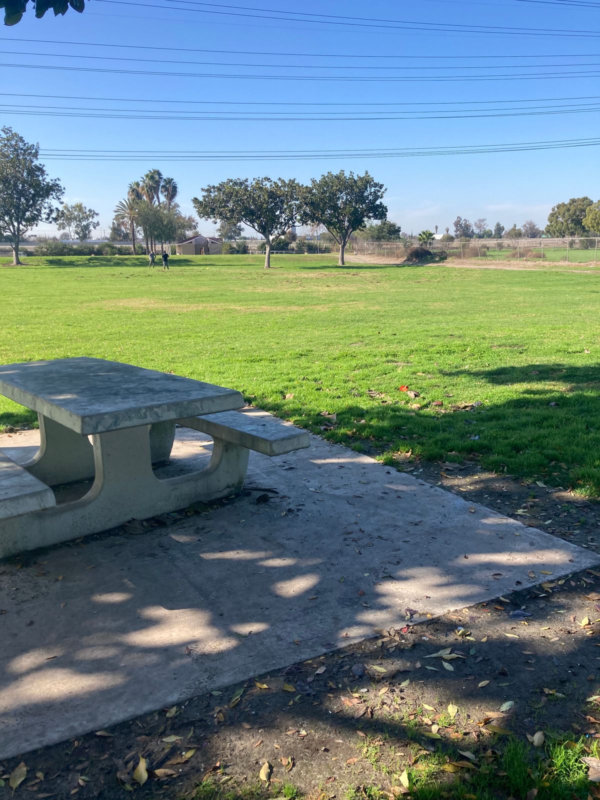 Hole 3 teepad