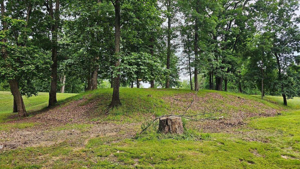 Hole 8 basket