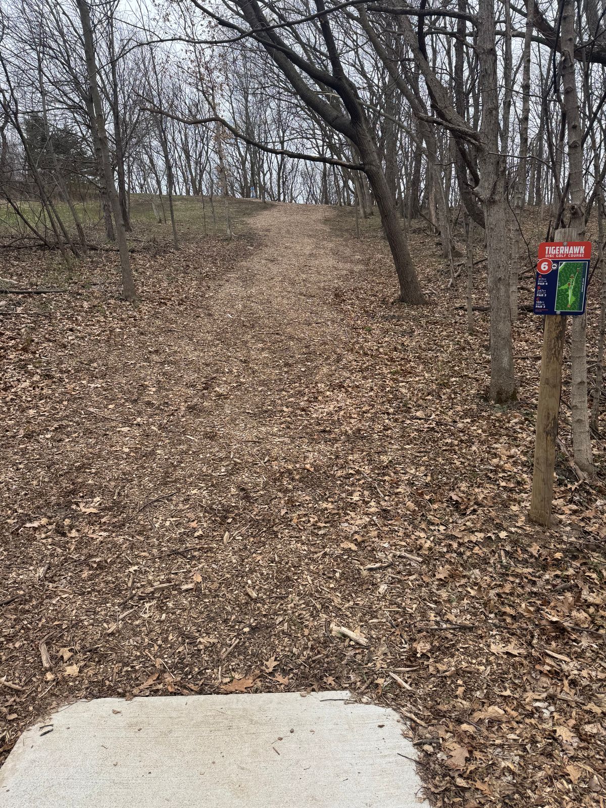 Hole 6