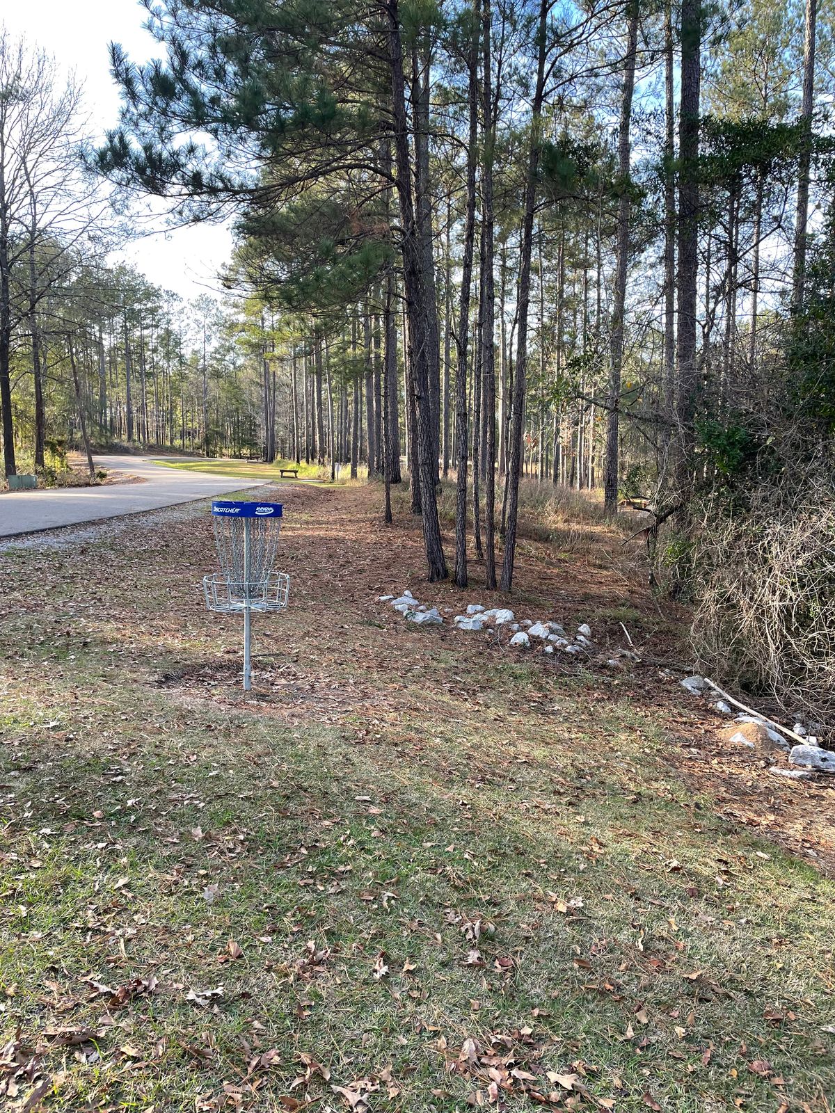 Hole 9 blue basket looking back to tee