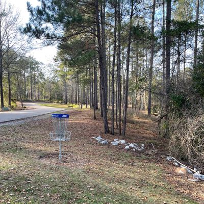 Hole 9 blue basket looking back to tee