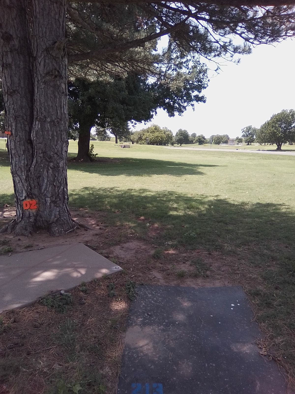 (Blue) Tee #4 (Drop Zone for the Long Tee)