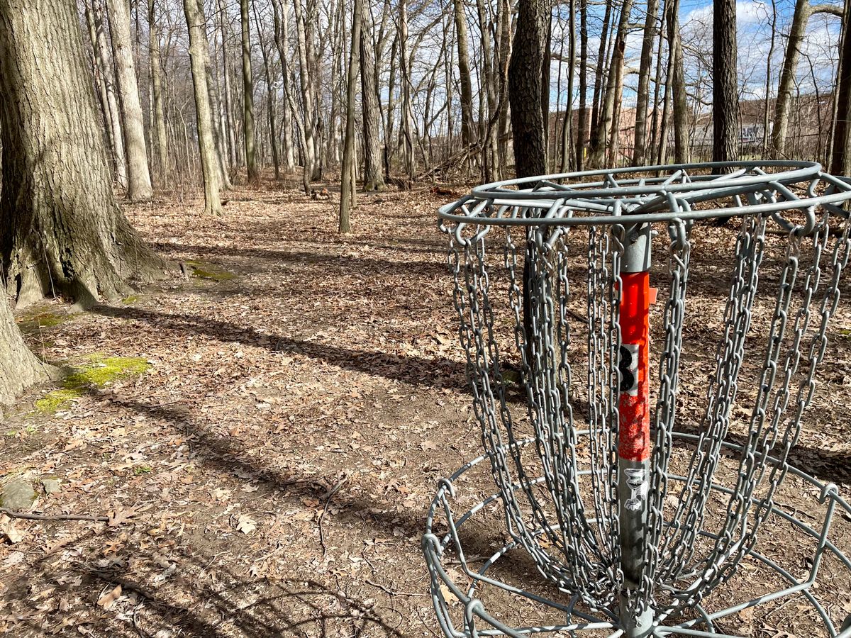 Hole 8 basket.  Looking backwards.