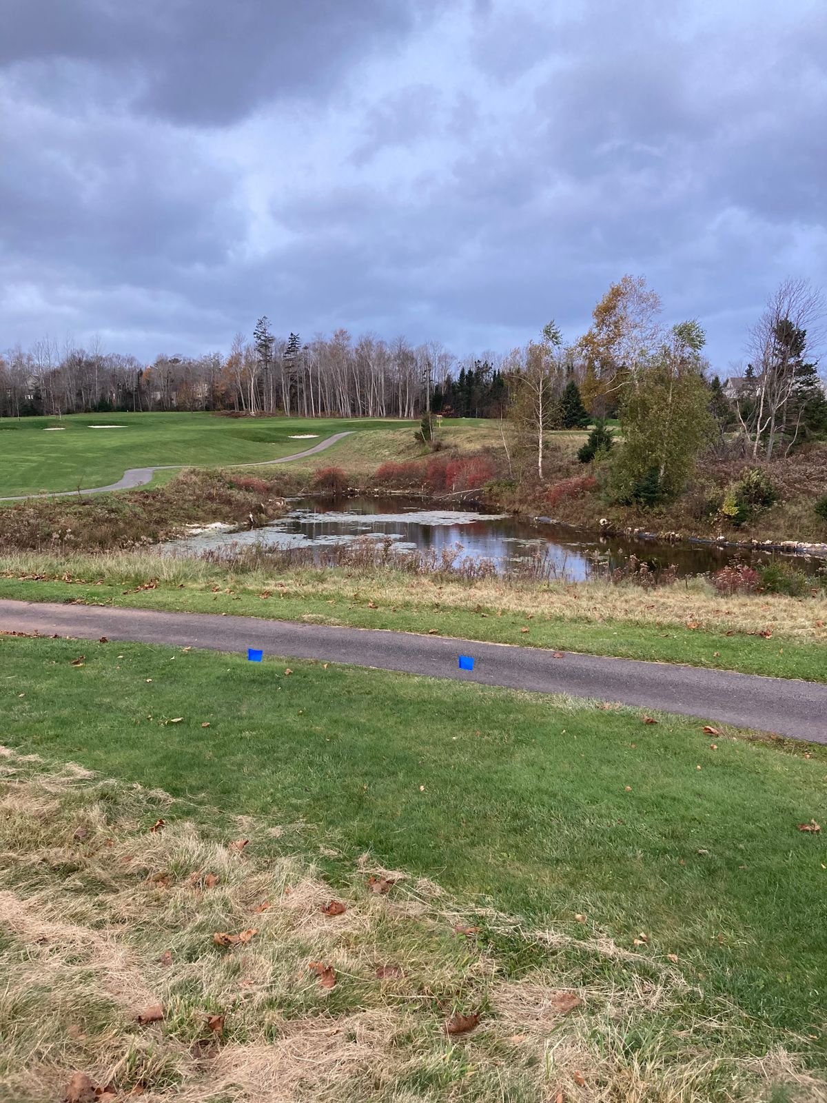 Hole 4 Blue tee